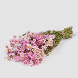 Dried Flower Bouquet