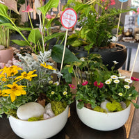 Little Garden in Off White Bowl 6" with Clear Quartz - San Valentine’s Special