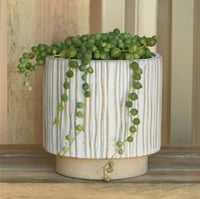 Ramos Vertical Stripe Cachepot, Stoneware - 4